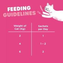 Load image into Gallery viewer, Webbox Lick-e-Lix Salmon Cat Treats
