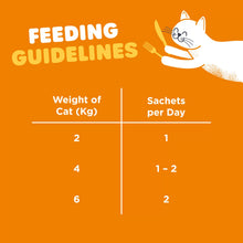 Load image into Gallery viewer, Webbox Lick-e-Lix Chicken Cat Treats
