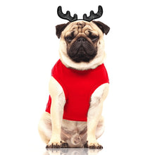 Load image into Gallery viewer, Milk and Pepper  Nils tee  Sweatshirt Red