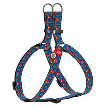 Load image into Gallery viewer, WAUDOG DC Nylon harness with QR passport with plastic or metal  buckle 10mm/20mm/25mm