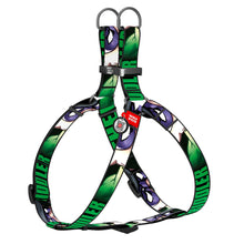 Load image into Gallery viewer, WAUDOG DC Nylon harness with QR passport with plastic or metal  buckle 10mm/20mm/25mm