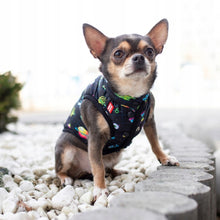 Load image into Gallery viewer, WAUDOG Clothes dog jacket, "Rick and Morty 2" cartoon