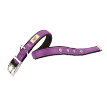 Load image into Gallery viewer, FERPLAST DUAL CF COLOURS Nylon dog collar