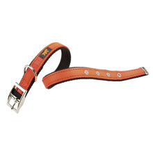 Load image into Gallery viewer, FERPLAST DUAL CF COLOURS Nylon dog collar