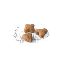 Load image into Gallery viewer, ROYAL CANIN Sensible 33