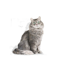 Load image into Gallery viewer, ROYAL CANIN Sensible 33