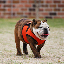 Load image into Gallery viewer, PUPPIA SOFT VEST HARNESS B