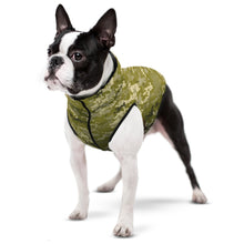 Load image into Gallery viewer, WAUDOG MILITARY DESIGN DOG JACKET