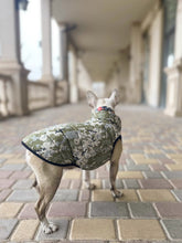 Load image into Gallery viewer, WAUDOG MILITARY DESIGN DOG JACKET