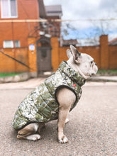 Load image into Gallery viewer, WAUDOG MILITARY DESIGN DOG JACKET
