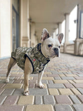 Load image into Gallery viewer, WAUDOG MILITARY DESIGN DOG JACKET