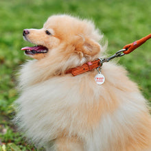 Load image into Gallery viewer, WAUDOG ROUND SEWN LEATHER NECKLACE