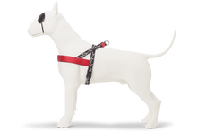 Load image into Gallery viewer, MORSO BROKEN SELF HARNESS MINI -XL
