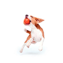 Load image into Gallery viewer, Dog toy Liker Ball
