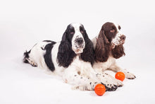 Load image into Gallery viewer, Dog toy Liker Ball