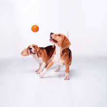 Load image into Gallery viewer, Dog toy Liker Ball