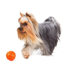 Load image into Gallery viewer, Dog toy Liker Ball