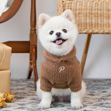 Load image into Gallery viewer, PUPPIA DECLAN WINTER SWEATSHIRT