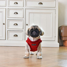 Load image into Gallery viewer, PUPPIA SUEDE HARNESS including FREE Matching Lead