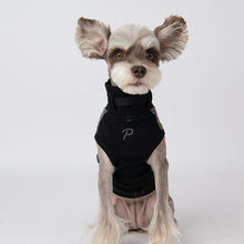 Load image into Gallery viewer, PUPPIA GASPAR HARNESS J