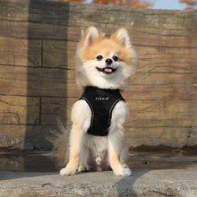 Load image into Gallery viewer, PUPPIA TREK HARNESS B