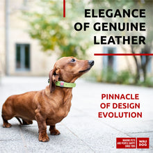 Load image into Gallery viewer, WAUDOG  Classic Leather Dog Collar 12mm/15mm/20mm/25mm/35mm