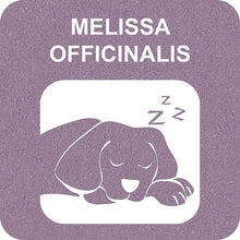Load image into Gallery viewer, SNOWFLAKE MELISSA 100% SNACK STICKS