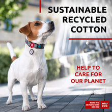 Load image into Gallery viewer, WAUDOG Eco-Friendly Re-Cotton Collar For Dogs