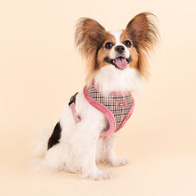 Load image into Gallery viewer, PUPPIA CHECKERED AUDON T HARNESS and MATCHING LEAD