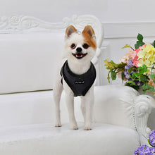 Load image into Gallery viewer, PUPPIA SUEDE HARNESS including FREE Matching Lead