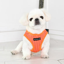 Load image into Gallery viewer, SALE PUPPIA BONNIE HARNESS A
