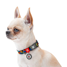 Load image into Gallery viewer, WAUDOG Nylon dog collar and leads with QR passport, "Blocks" design, plastic fastex,