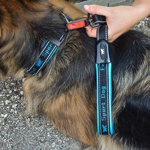 Load image into Gallery viewer, FERPLAST SPORT DOG MATIC G Padded lead for dogs complete with an automatic hook