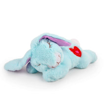 Load image into Gallery viewer, Heart Beat Warm Bunny