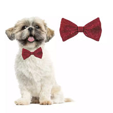 Load image into Gallery viewer, Bow Tie Xmas Glitter Red Dog S,M,L,XL
