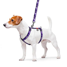 Load image into Gallery viewer, H-shaped WAUDOG Nylon with QR passport, plastic fastex