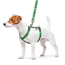 Load image into Gallery viewer, Harness for dogs anatomical  WAUDOG Nylon with QR passport, with pattern "Ethno