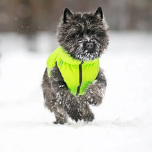 Load image into Gallery viewer, WAUDOG AIRY VEST World's Lightest Warm Jacket For Dogs