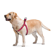 Load image into Gallery viewer, WAUDOG NYLON DOG HARNESS WITH QR PASSPORT, "WATERMELON