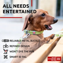 Load image into Gallery viewer, WAUDOG  Classic Leather Dog Collar 12mm/15mm/20mm/25mm/35mm