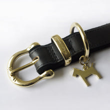 Load image into Gallery viewer, HAPPY HOUSE Collar Saddle Leather Luxury  Black