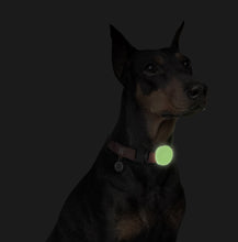 Load image into Gallery viewer, WAUDOG SILICONE AIRTAG CASE FOR PET COLLARS AND HARNESSES,GLOW IN THE DARK,W 15-40MM