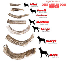 Load image into Gallery viewer, Antler dog chew. Size L
