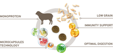 Load image into Gallery viewer, FORZA10 MINI & TOY DOG DIET LAMB 1.5kg