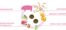 Load image into Gallery viewer, Forza10 MINI Adult Diet with Pork with Potato 1.5Kg
