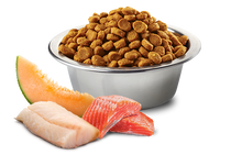 Load image into Gallery viewer, Farmina N&D SALMON, COD & CANTALUPE MELON ADULT MINI 2.5KG