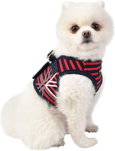 Load image into Gallery viewer, PUPPIA BRITON HARNESS B