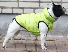 Load image into Gallery viewer, WAUDOG AIRY VEST World's Lightest Warm Jacket For Dogs