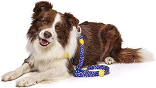 Load image into Gallery viewer, MORSO Dog Leash,