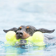 Load image into Gallery viewer, KONG AIRDOG SQUEAKER BONE